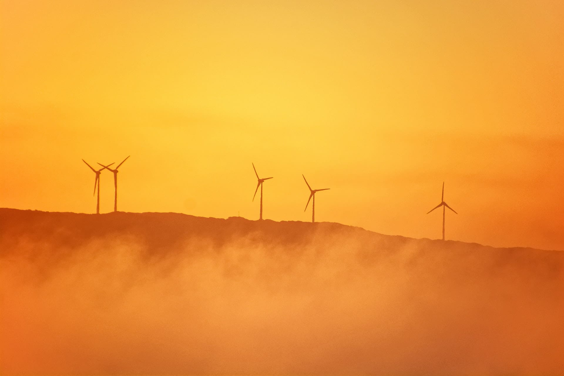 Australia signed the Paris Agreement. Then what happened?