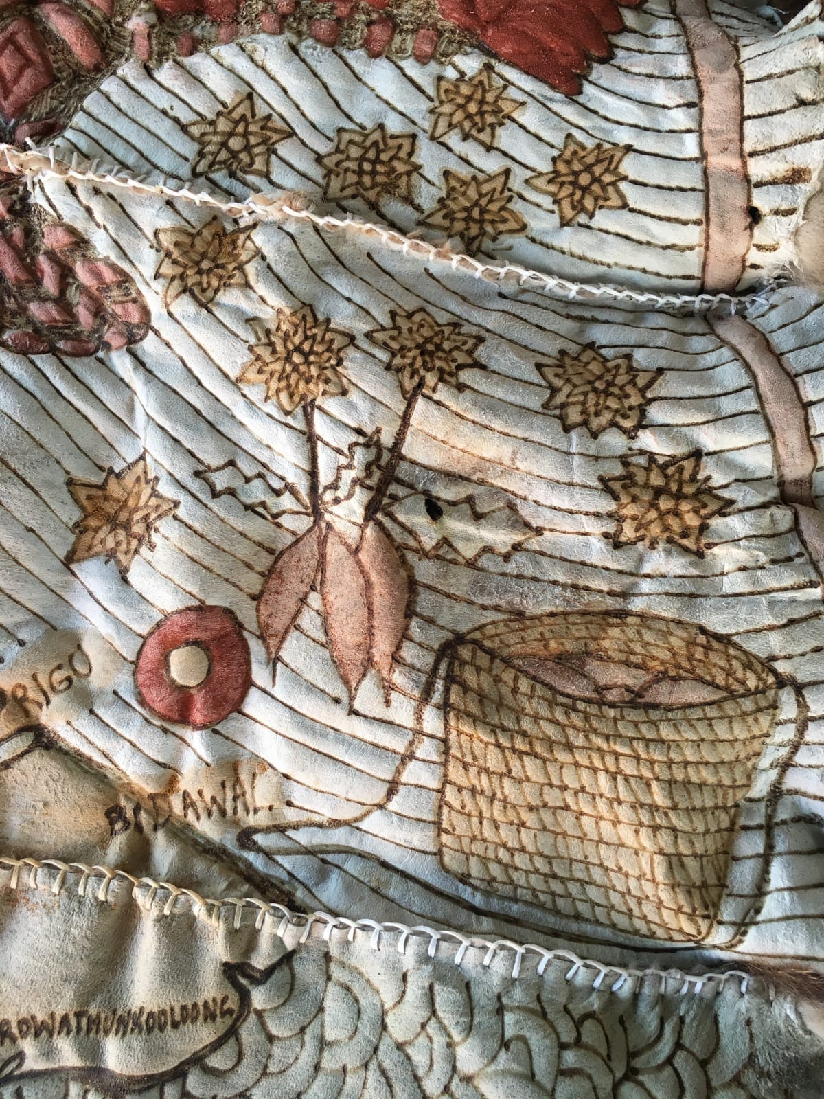 Image: Possum cloak story about harvesting Murnong