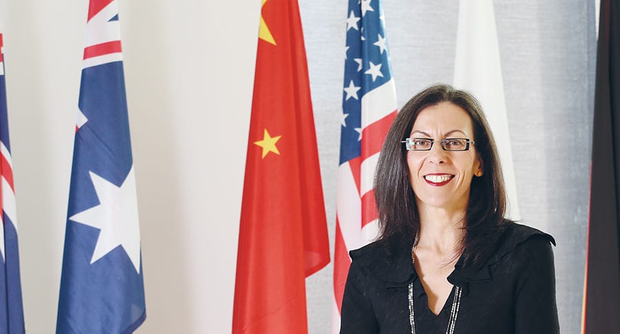 Grappling with the China paradox