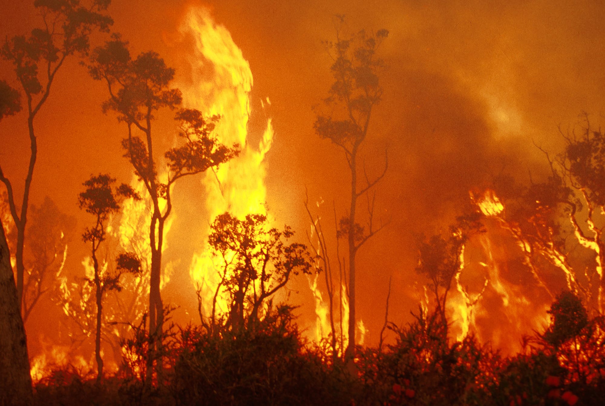 Droughts, fires and flooding rains – measuring the human cost