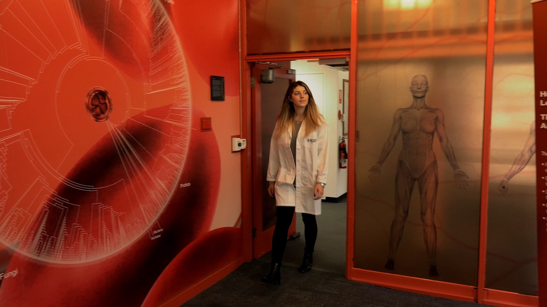 Celebrating women in STEMM