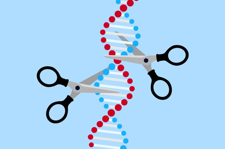 CRISPR case highlights the ethical concerns over gene editing