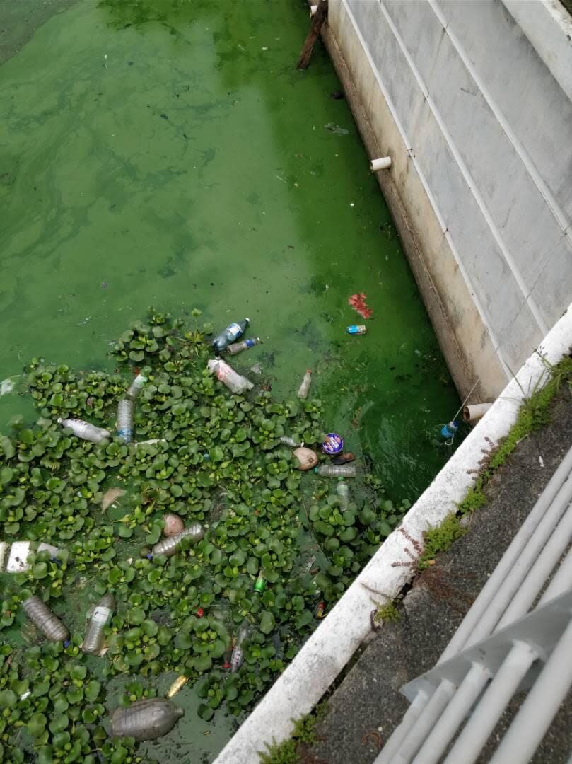 polluted