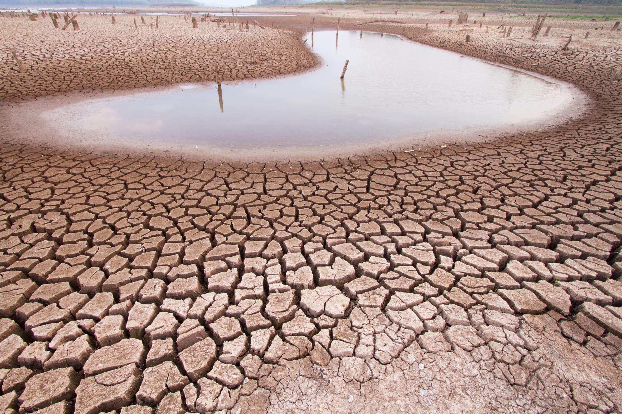 It's 2050: Melbourne has hit Day Zero and run out of water