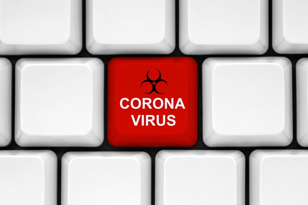 Coronavirus, cybercrime and the parasitising of a pandemic