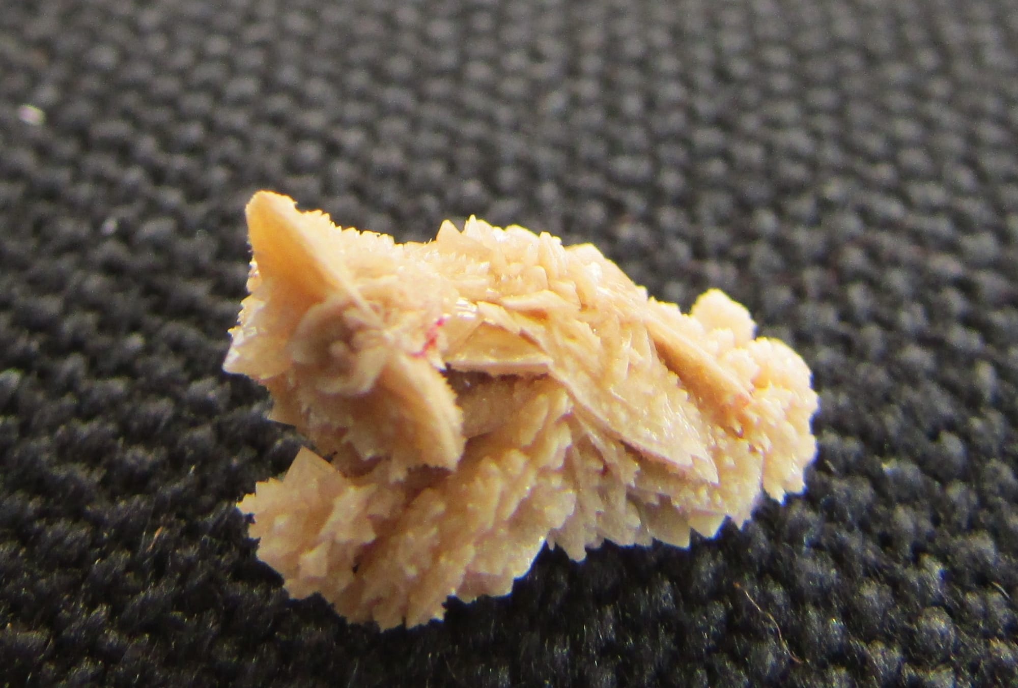 Close up of kidney stone crystals.