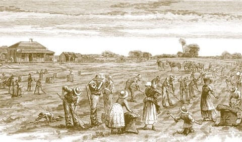 Barracking, sheilas and shouts: how the Irish influenced Australian English