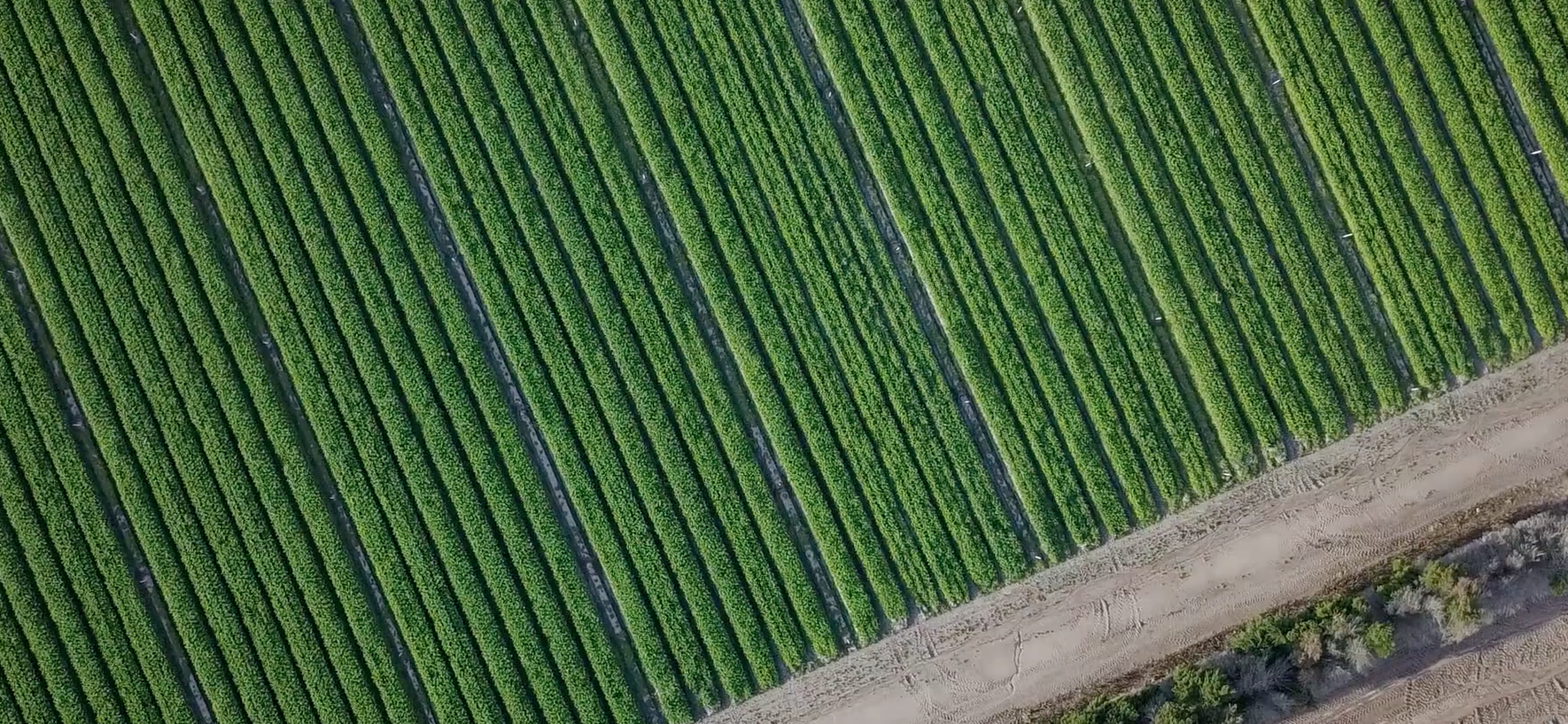 Is our future sustainable?