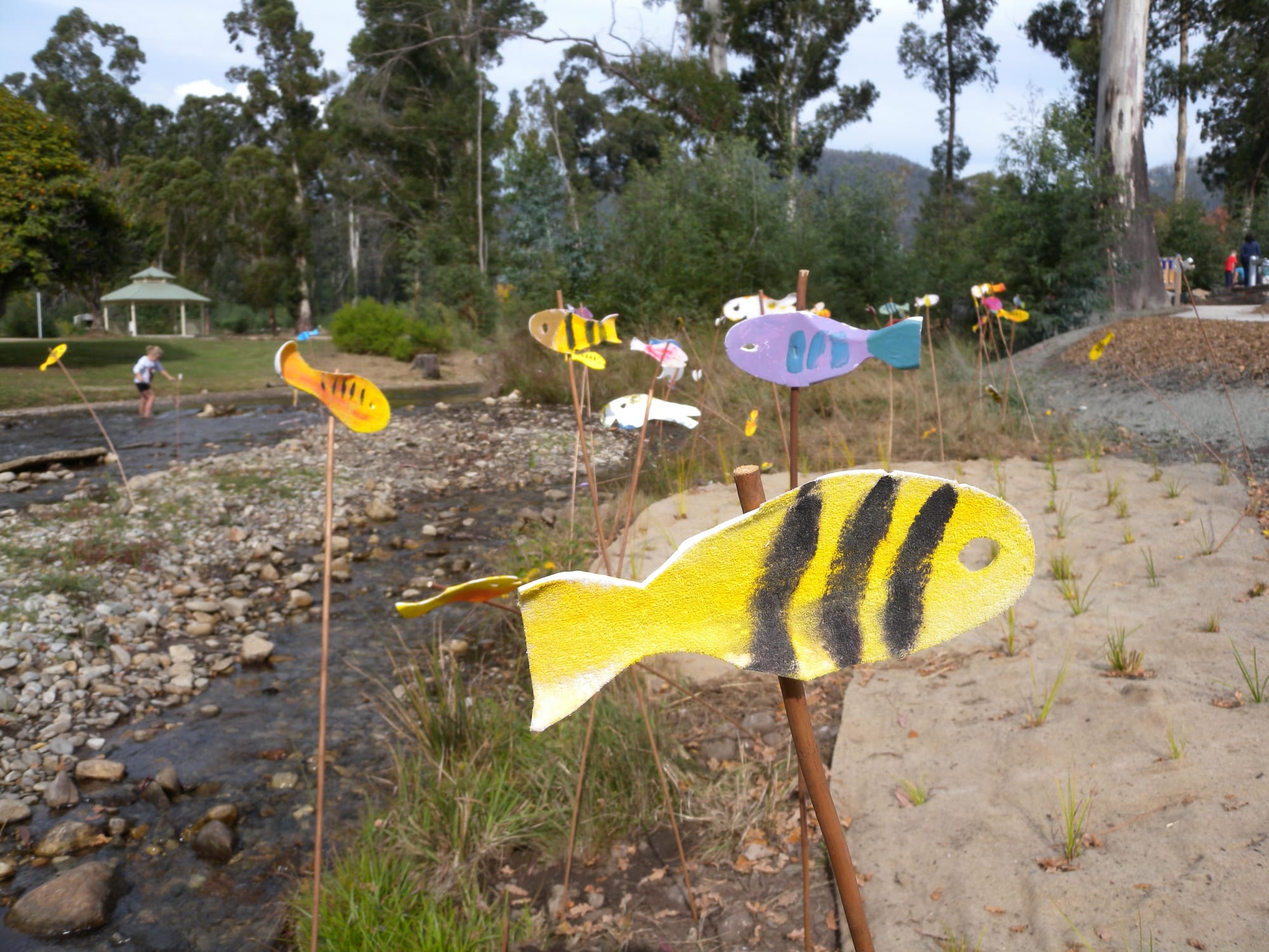 Bushfire recovery as a shared human-nature journey