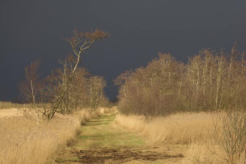 Thunderstorm asthma: who’s at risk, and how to manage it