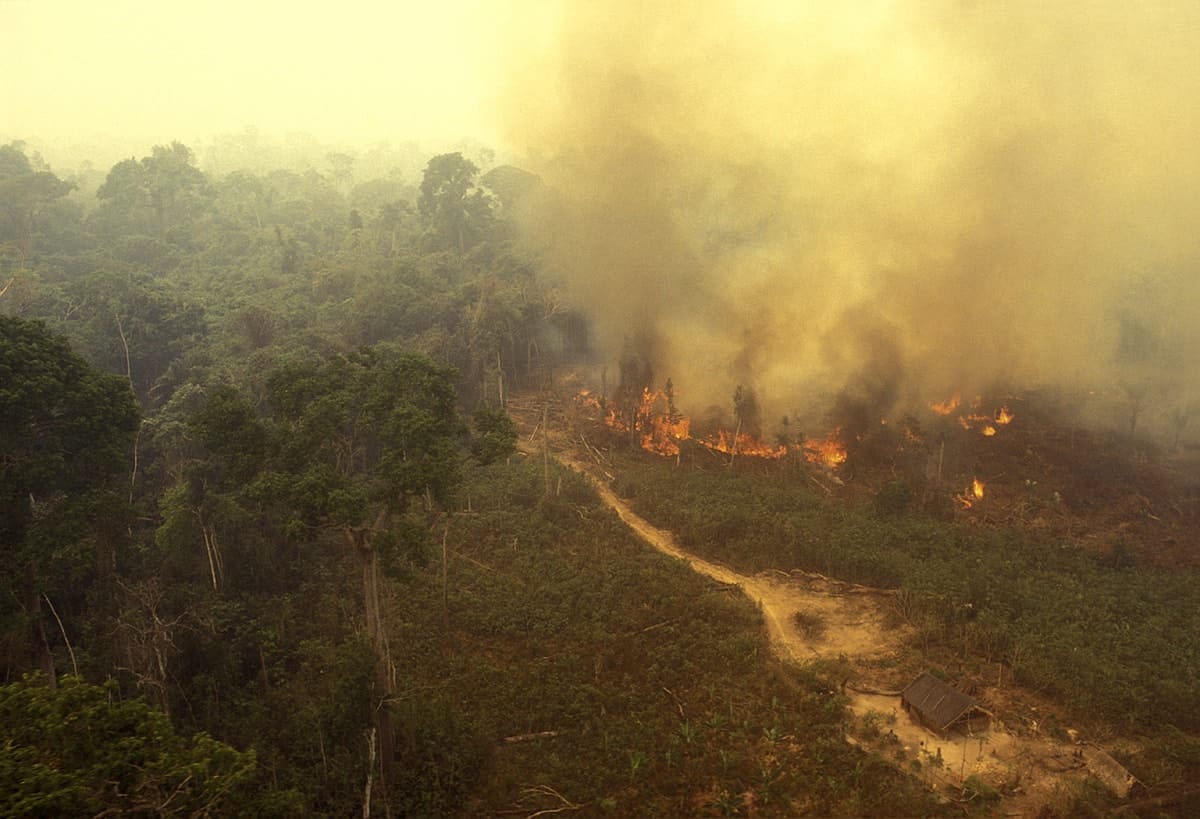 Amazon fires: Could we reach the tipping point for runaway climate change?
