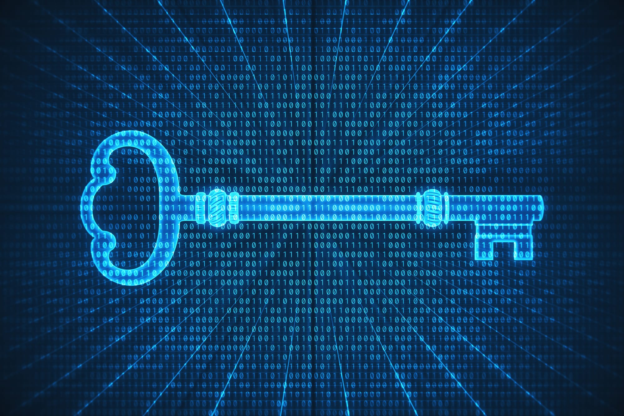 How to lose a bitcoin fortune