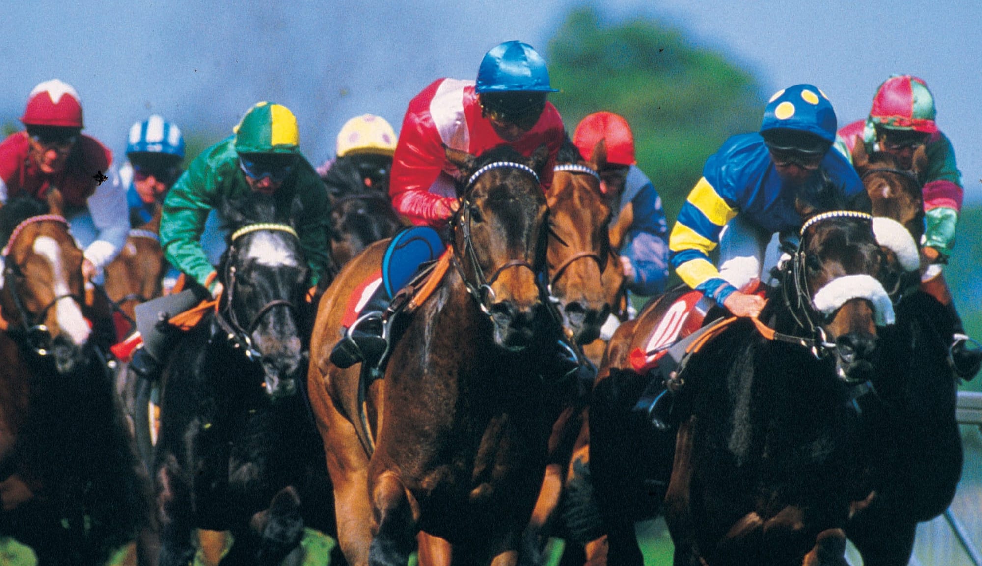 Is the Melbourne Cup losing its appeal? Here’s what the numbers reveal