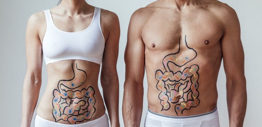 Gut health: Investigating the role a high-fibre diet can play in controlling high blood pressure