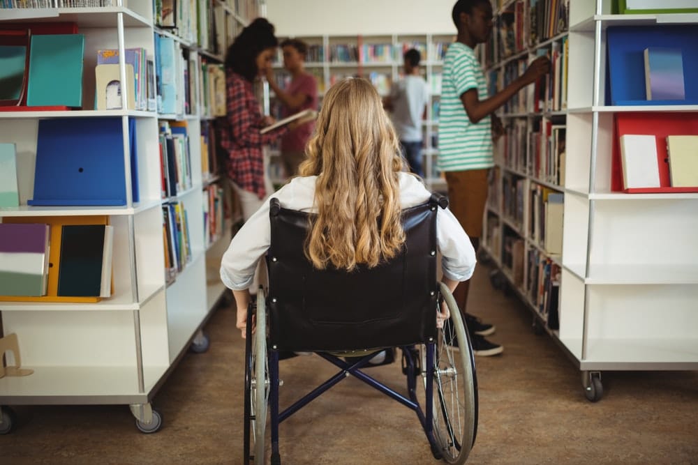 A matter of trust: the checks and balances schools must have to ensure fair funding for disability