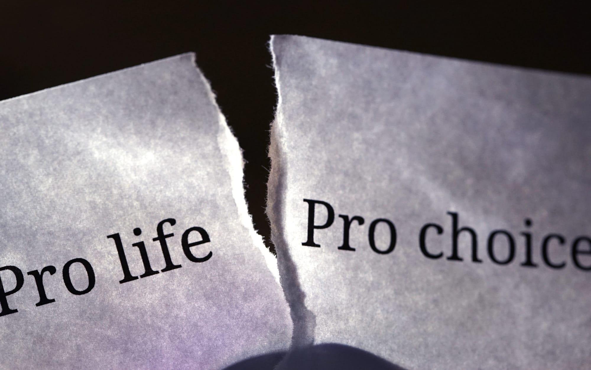 High Court case: do anti-abortion protest laws limit free speech?