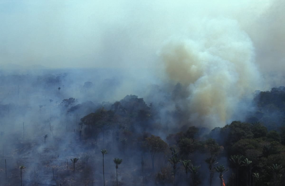 The Amazon fires: Digging deeper on contentious claims