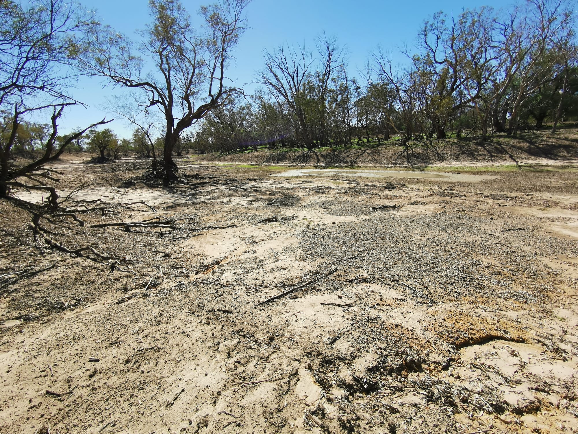 Why old-school climate denial has had its day