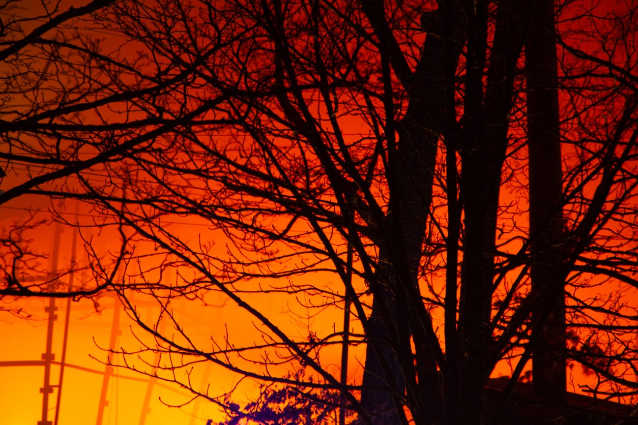 Powerless to prevent catastrophic bushfires? No, we're not