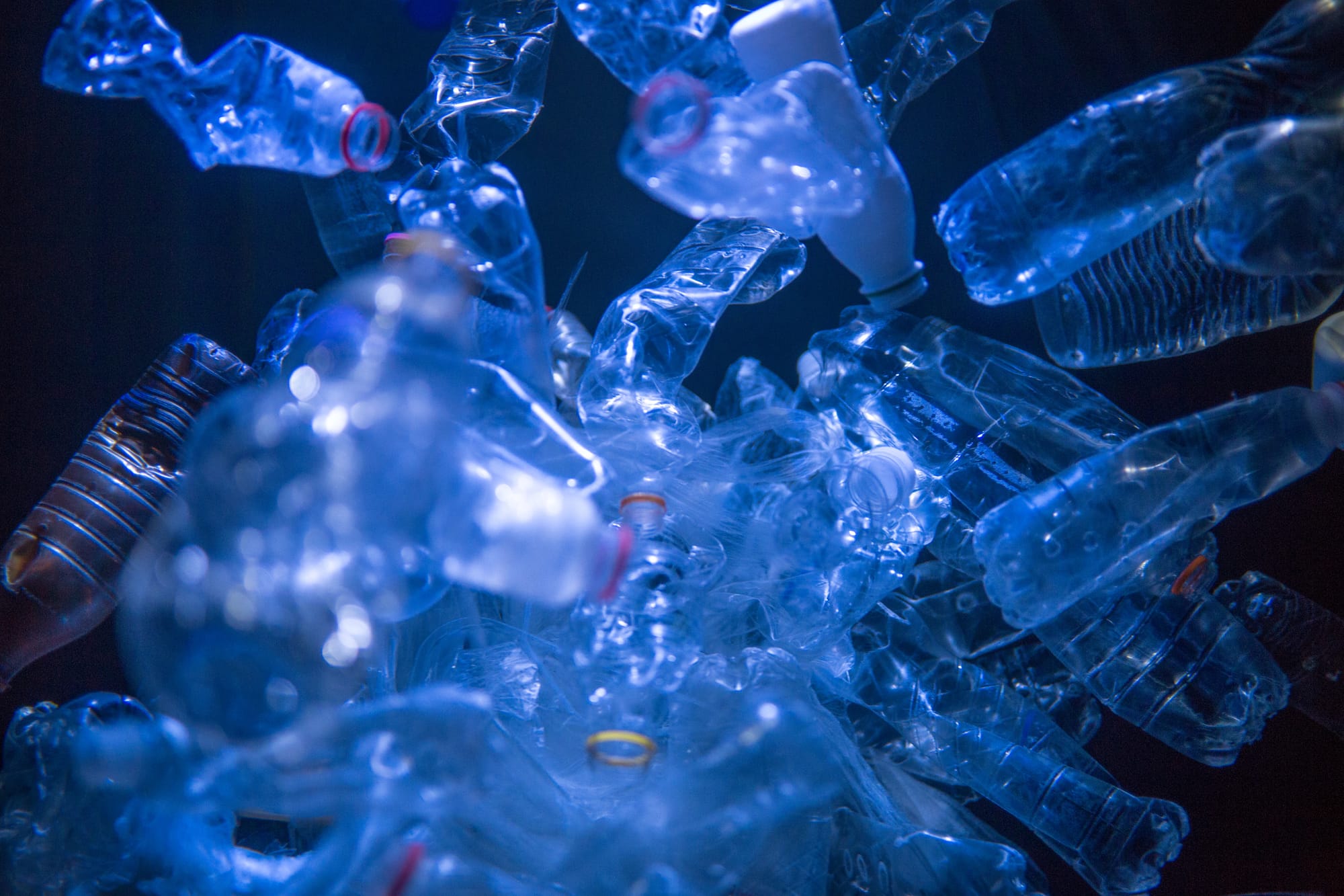 Fighting plastic pollution and making plastic fantastic