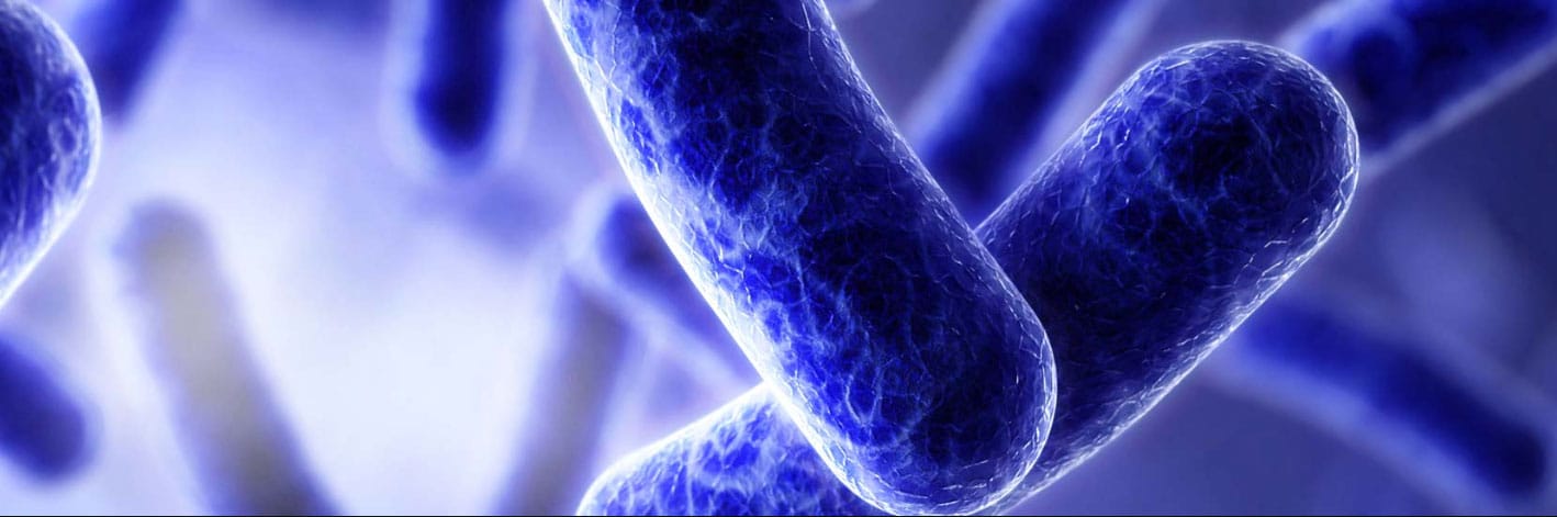 Antibiotic-resistant superbugs – the endless quest