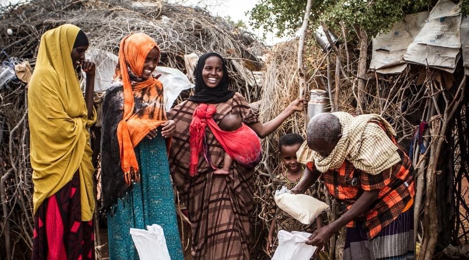 Cassava: Achieving food security and safety in the face of climate change
