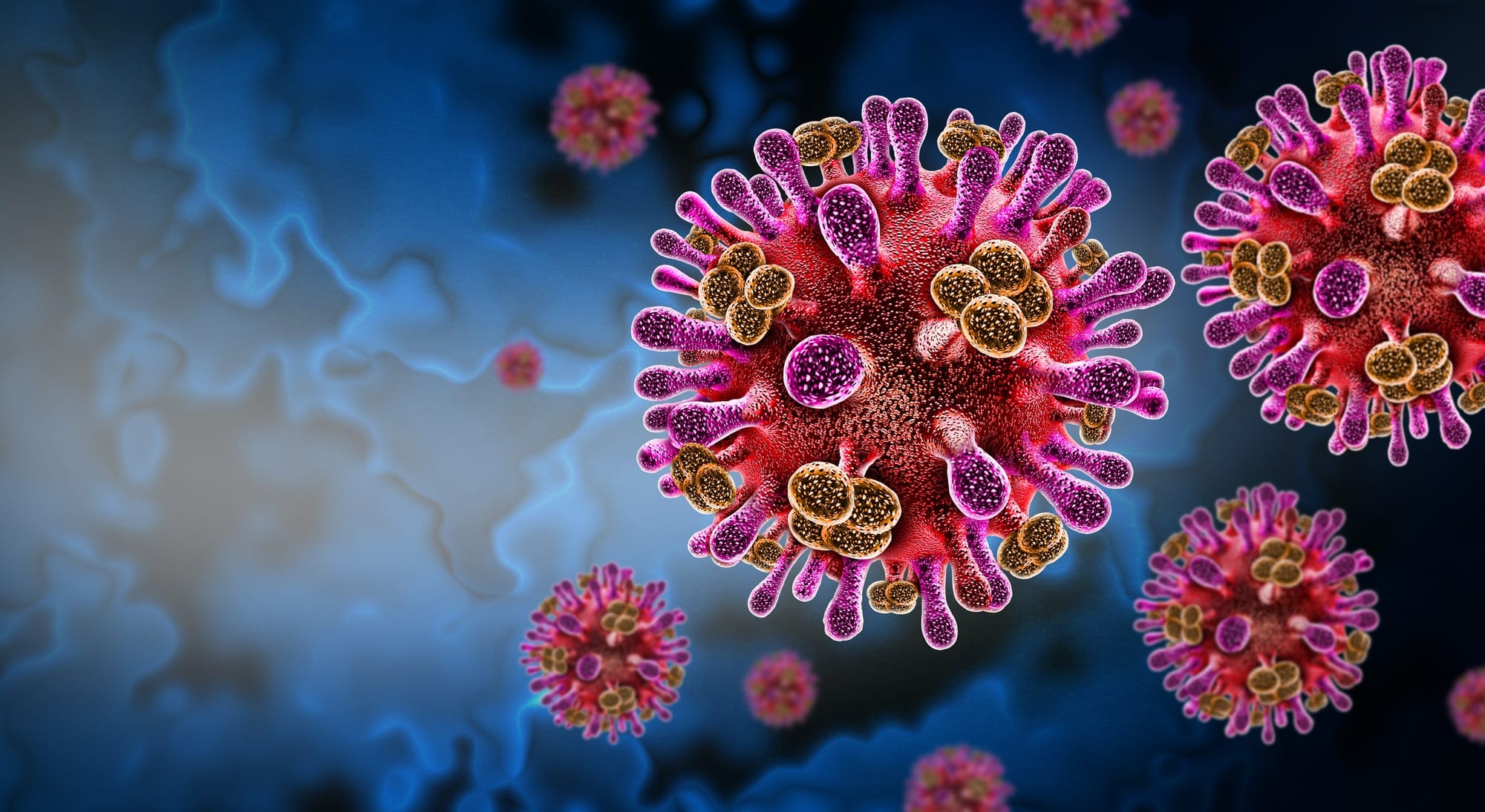 Nipah virus cells