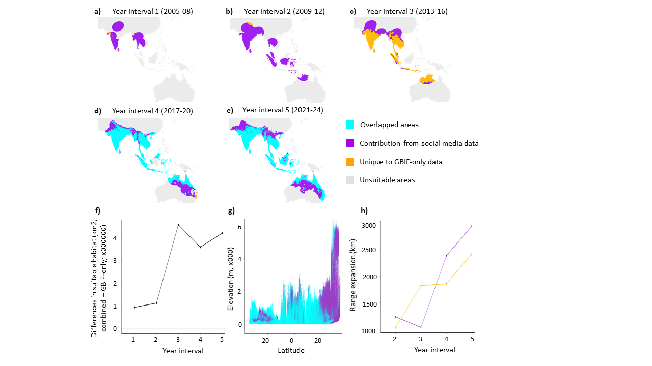 Graph depicting the spread of the tawny coster butterfly, 2005-24