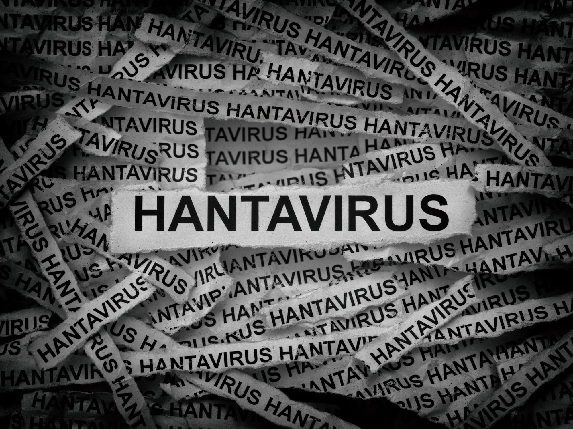 Strips of newspaper with the words Hantavirus typed on them. 