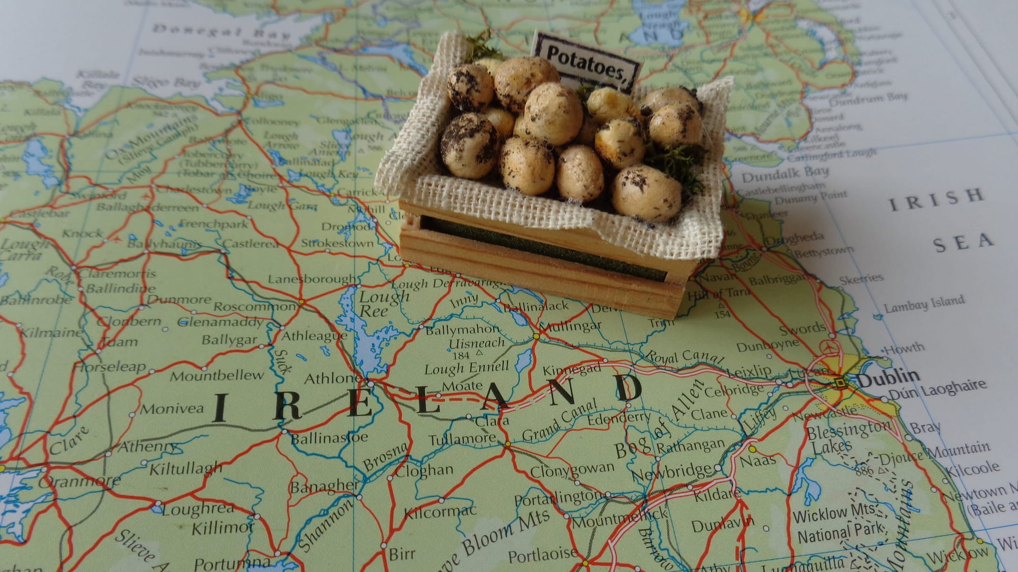 A partial map of Ireland with a miniature crate of potatoes depicting the potato famine of 1845 - 1852