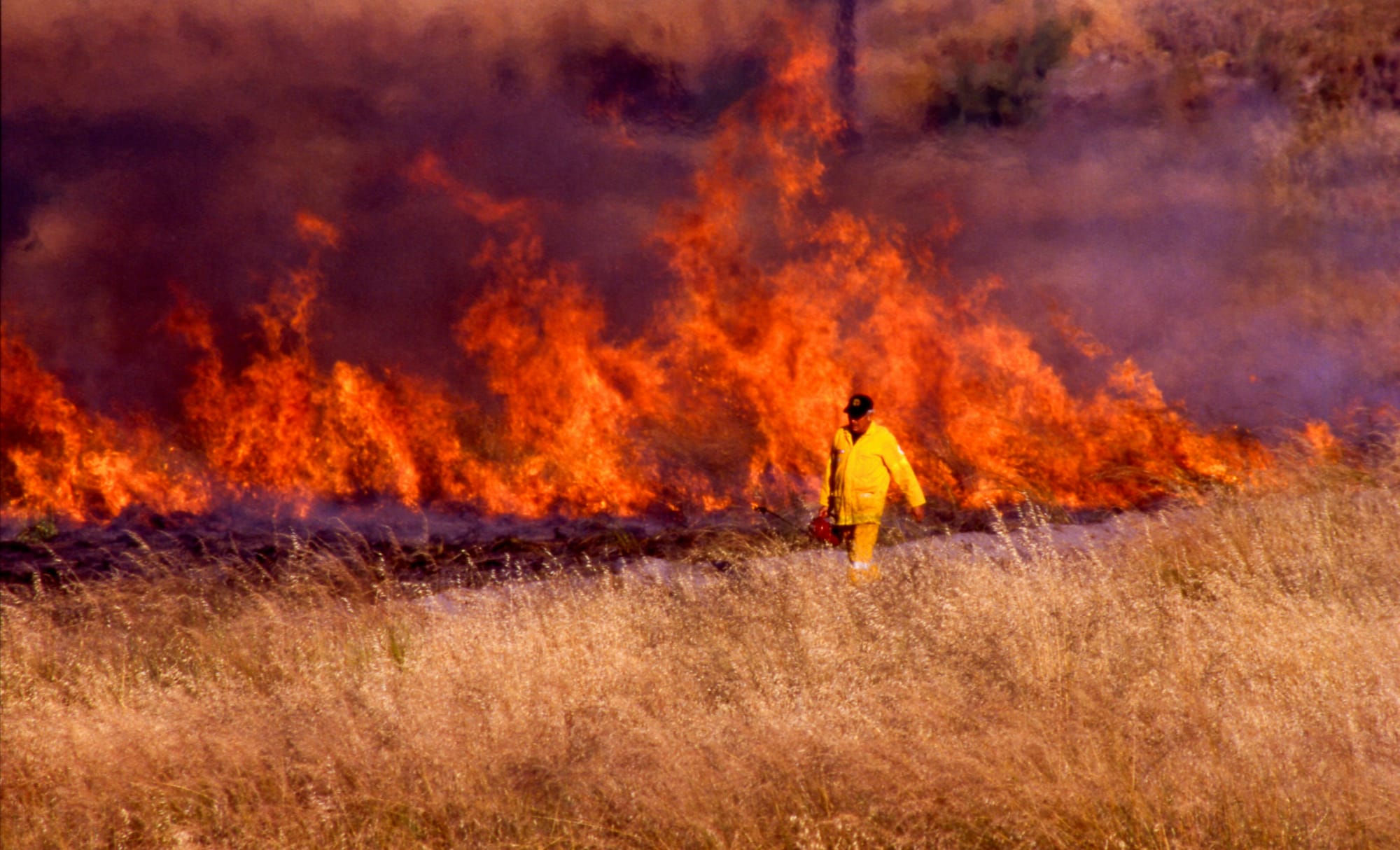 It’s been one year since Australia assessed its national climate risk. But have we listened?