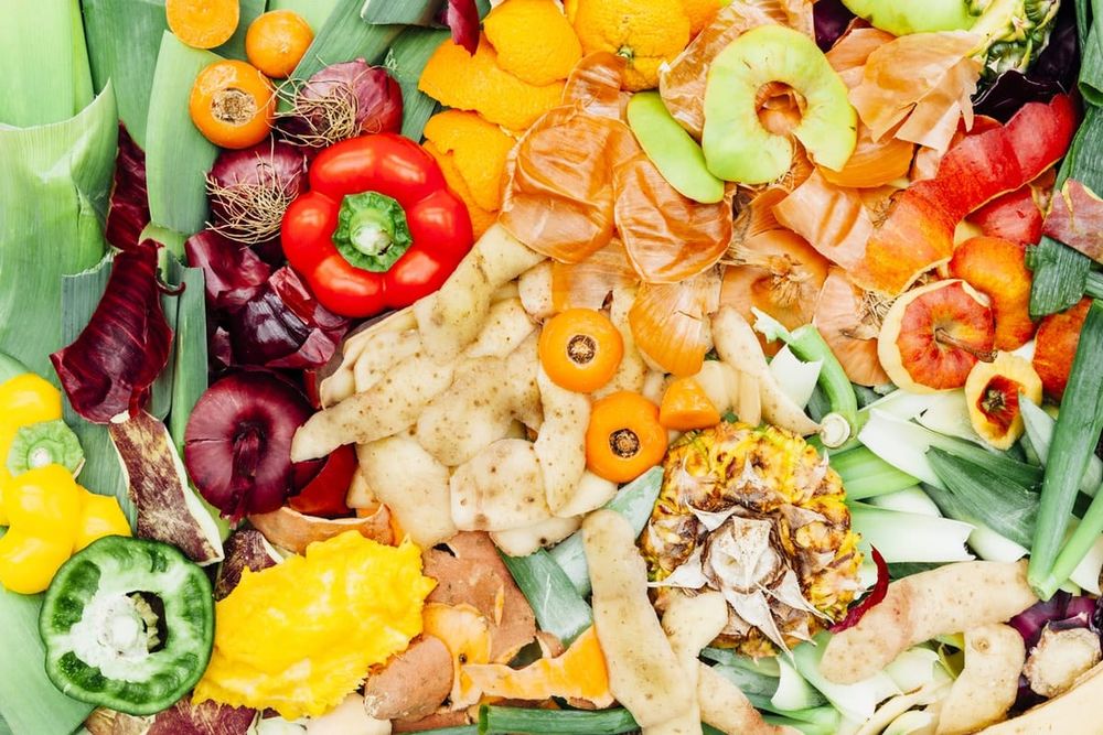 Lettuce change: Innovation and investment key to reducing food waste post image