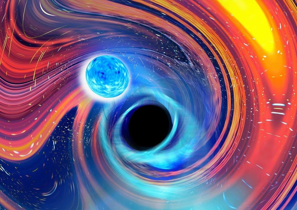 ‘Laws of nature turned up to 11’: Astronomers spot two neutron stars being swallowed by black holes post image
