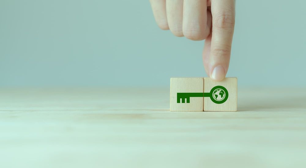 COP29: Defining indicators for climate adaptation progress post image