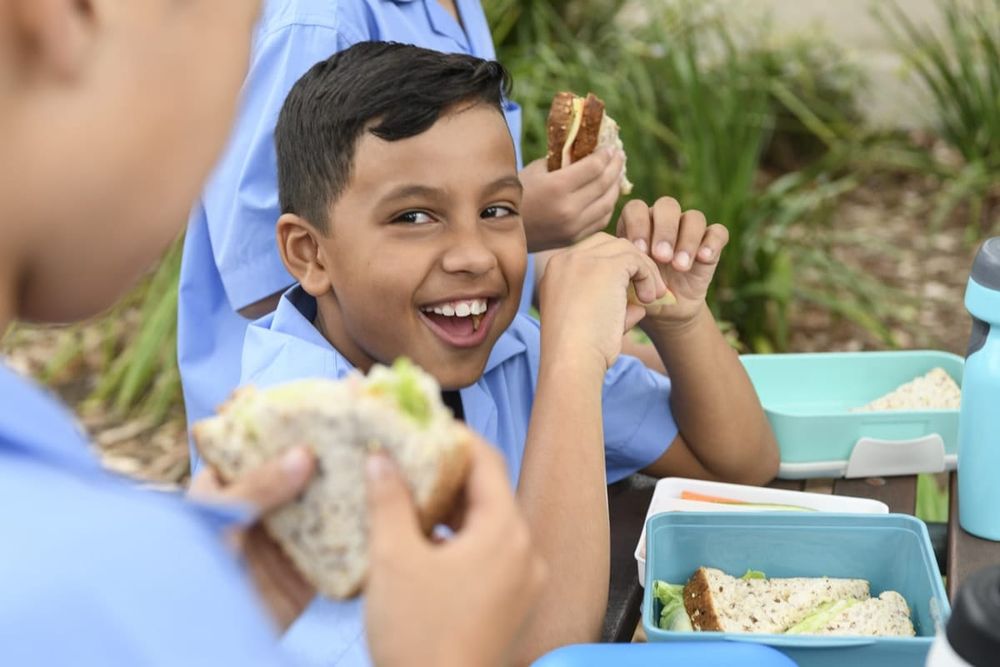Melbourne's term four return-to-school plans need rethinking post image