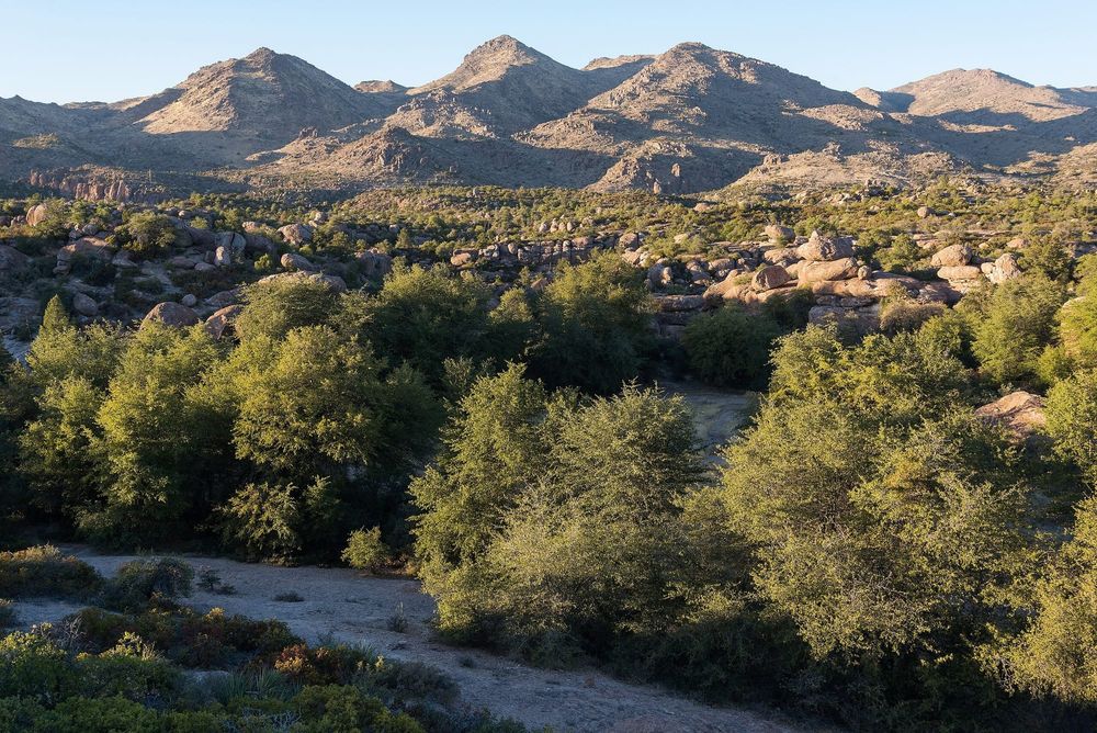 Moral lessons unlearned: Rio Tinto’s new sacred site controversy post image