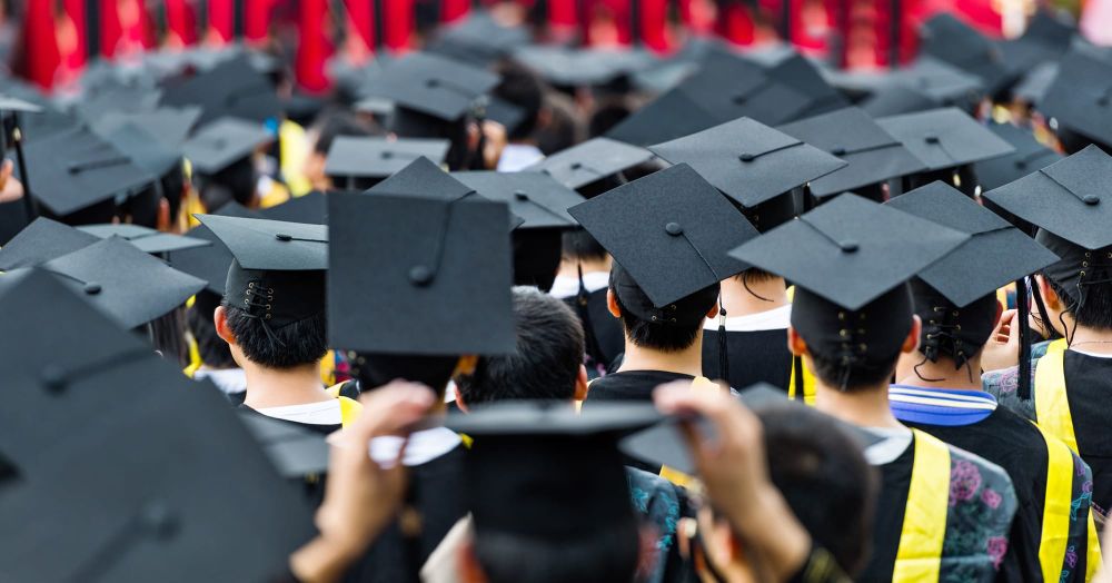 Capital gains: There’s more to employability than employment post image