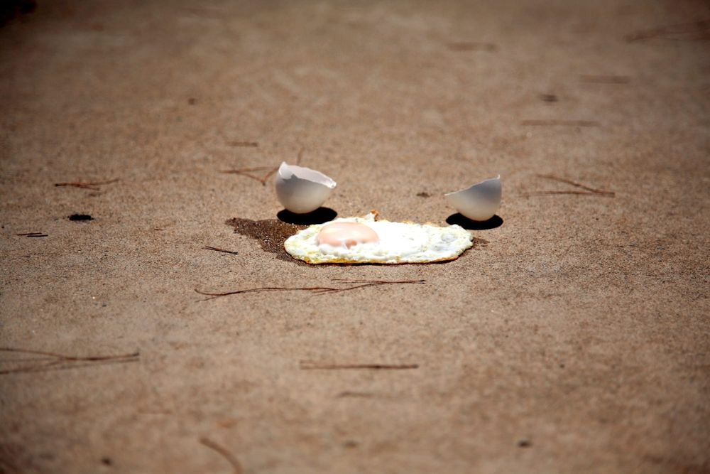 Sunny side up: Can you really fry an egg on the footpath on a hot day? post image