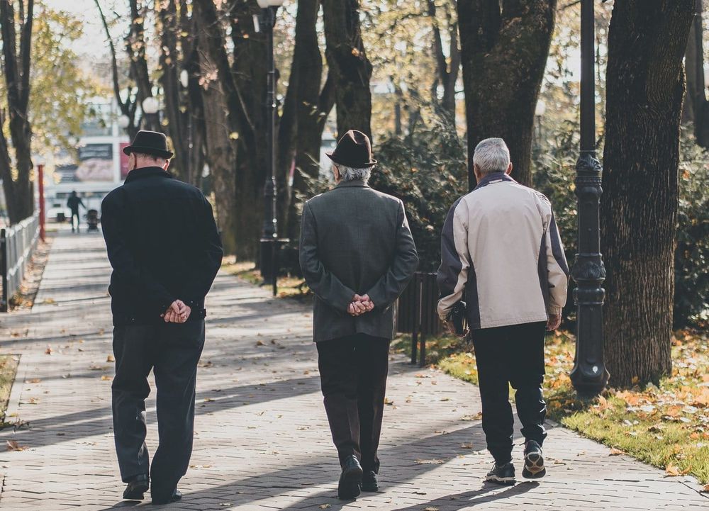 The dreaded ‘D’ word: The search for a cure to prevent or delay dementia post image