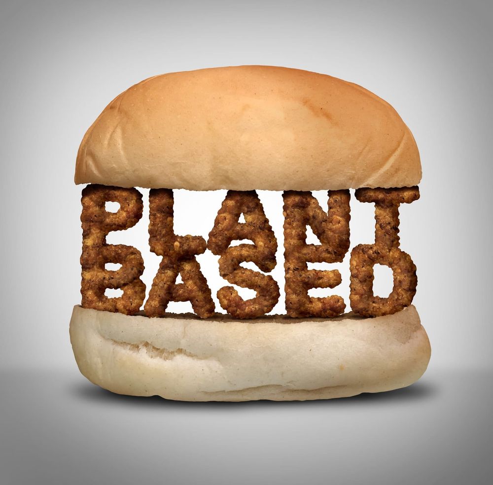 The market for meat substitutes is way overdone post image