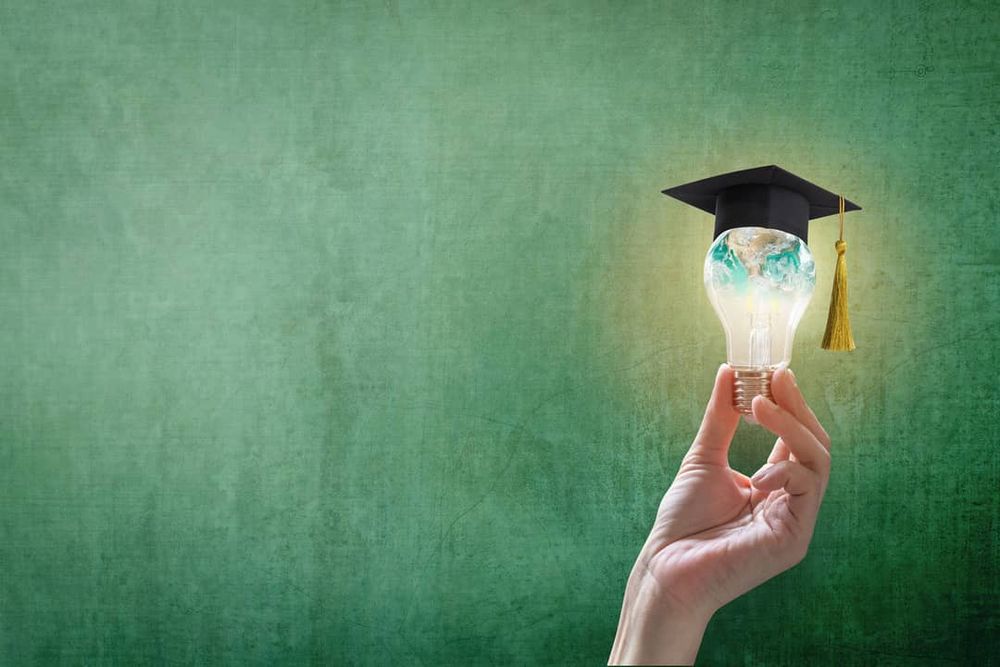 Opening pathways to higher education for refugee entrepreneurs post image