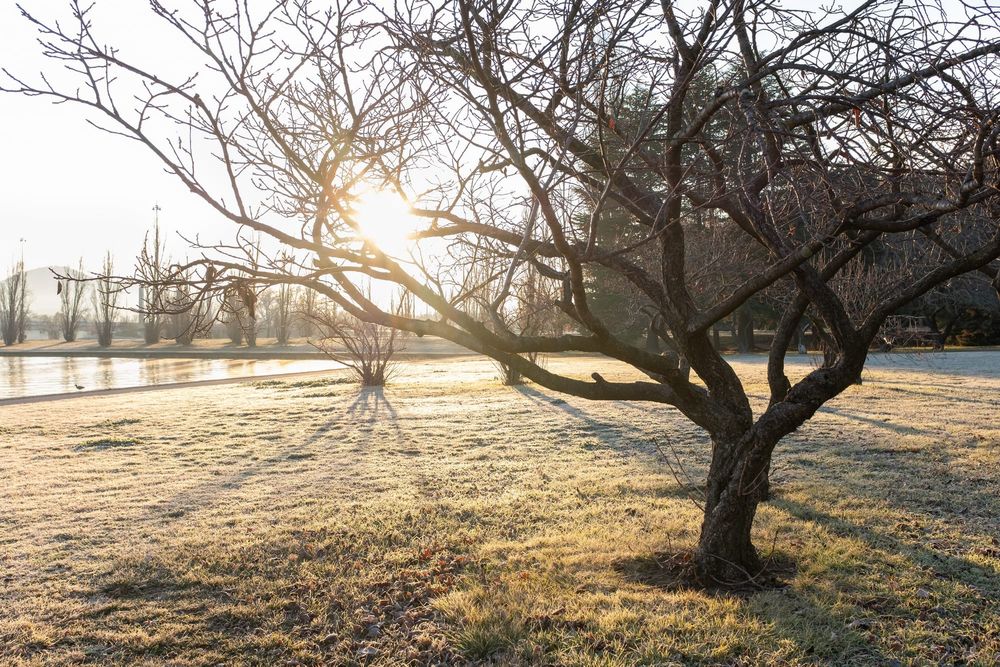 Why is it so damn cold right now? A weather researcher explains post image