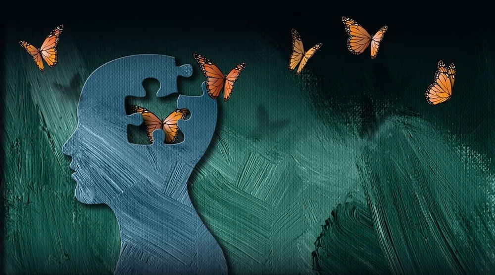 Lines of communication: How Indigenous knowledge can improve the memory post image