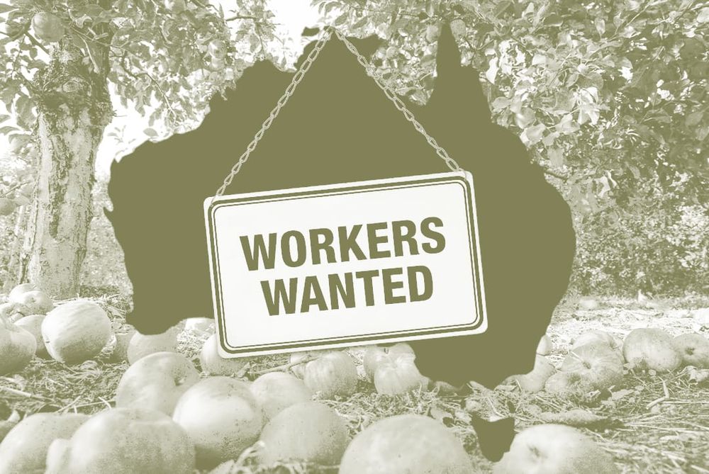 ‘What Happens Next?’: Why Do Migrants Matter? post image