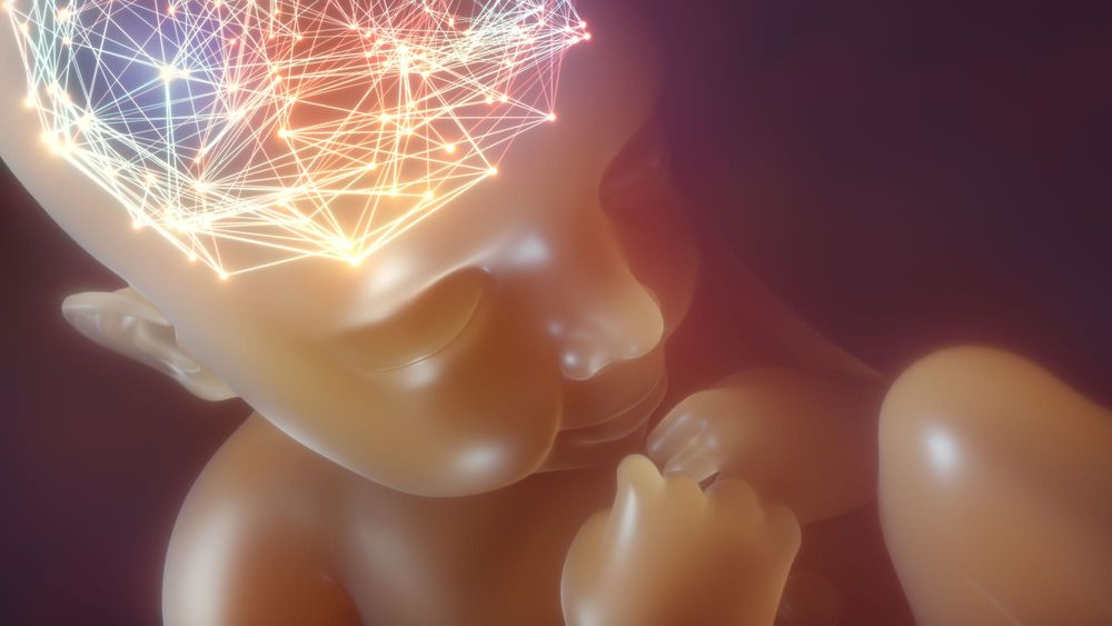 Piecing together the Down Syndrome brain puzzle post image