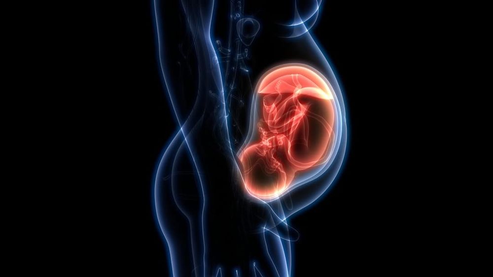 Pregnancy monitoring from home – a device being trialled globally post image
