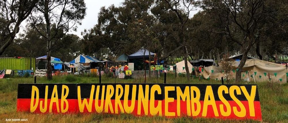 Why documenting Indigenous artefacts made from southeastern Australian trees is important post image
