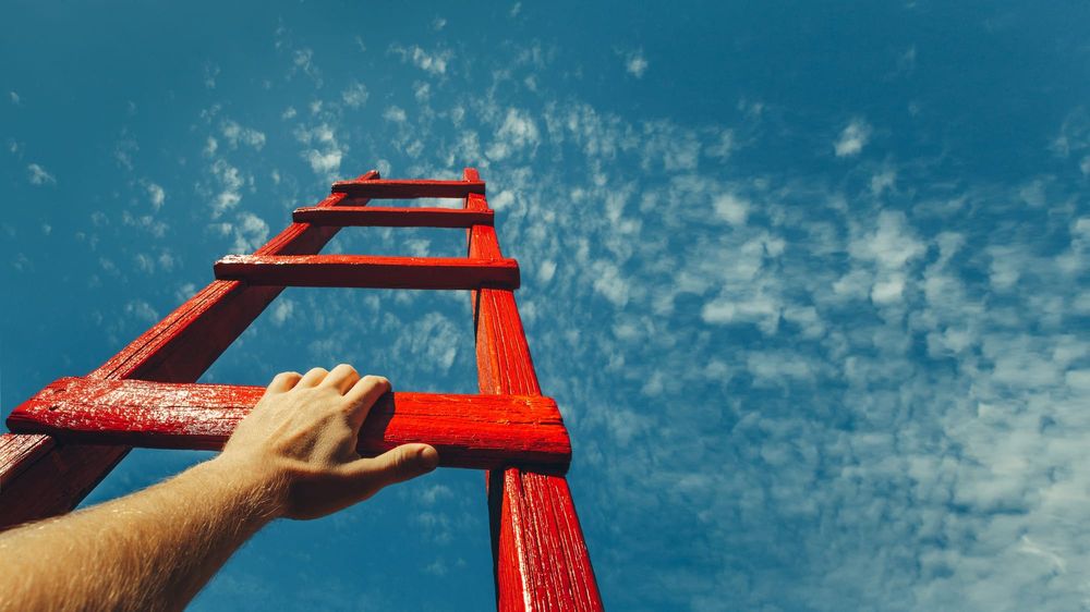 The seven-step toolkit that can help make scaling a success post image
