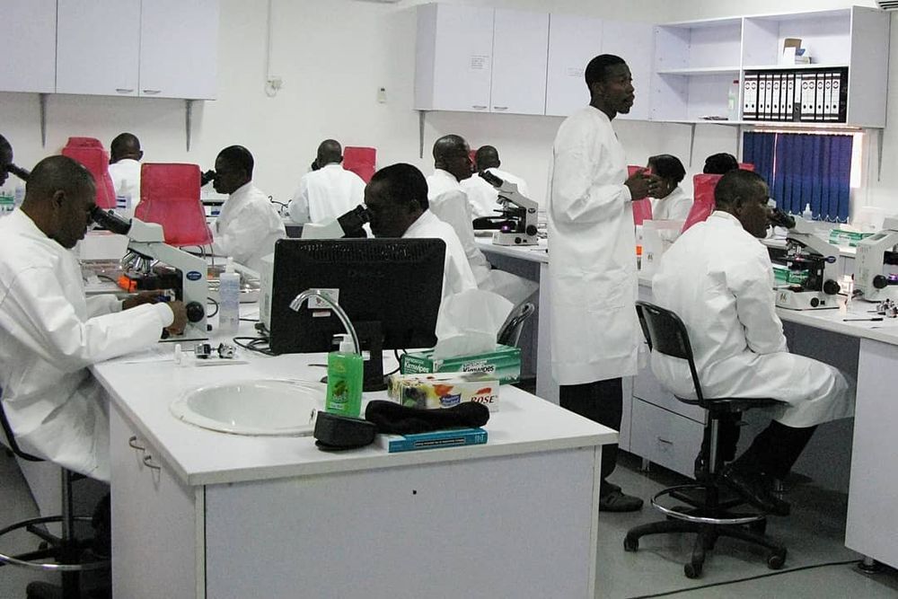 Scientists, working together, can prevent future pandemics post image