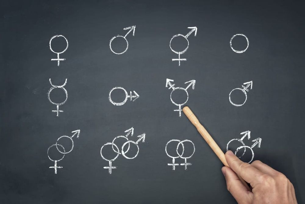 Mark Latham’s controversial anti-trans kids bill hits constitutional roadblock post image